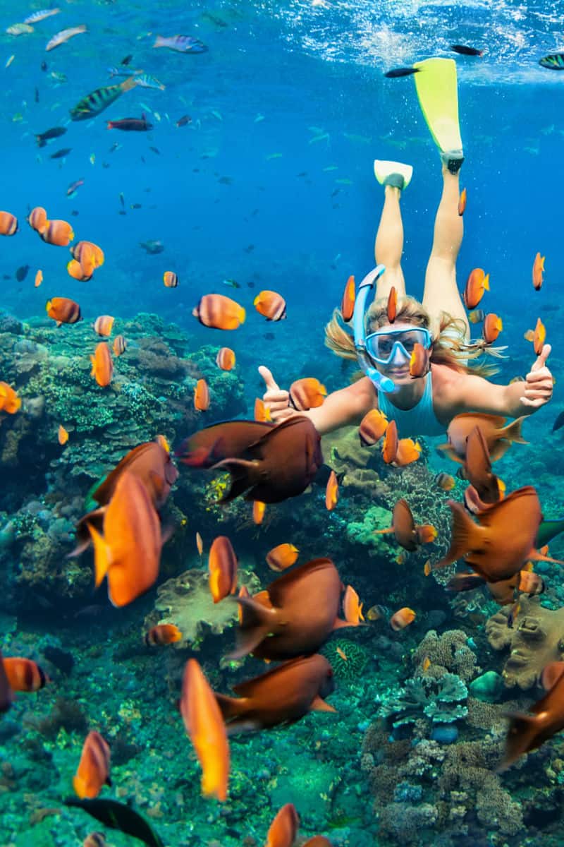 snorkel-2 A woman snorkeling with tropical fish
