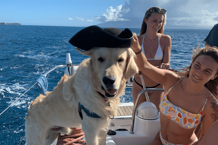 a woman and a dog on a boat in the water